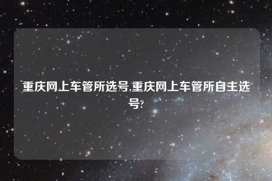 重庆网上车管所选号,重庆网上车管所自主选号?