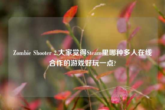 Zombie Shooter 2,大家觉得Steam里哪种多人在线合作的游戏好玩一点?