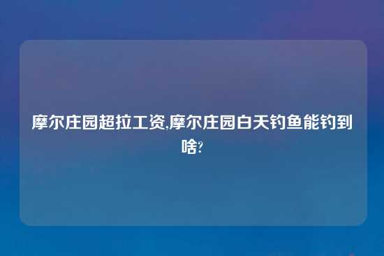 摩尔庄园超拉工资,摩尔庄园白天钓鱼能钓到啥?