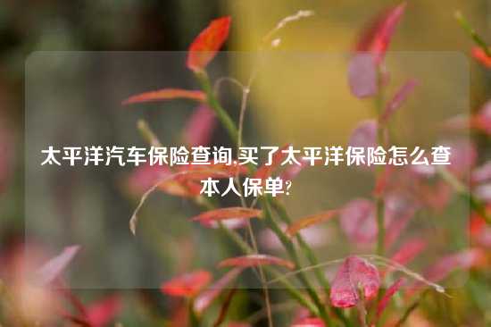 太平洋汽车保险查询,买了太平洋保险怎么查本人保单?
