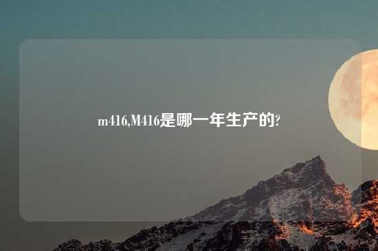 m416,M416是哪一年生产的?