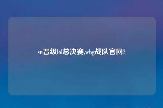 sn晋级lol总决赛,wbg战队官网?