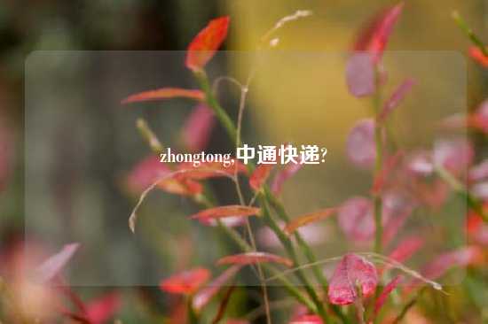 zhongtong,中通快递?
