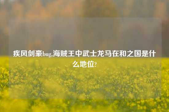 疾风剑豪bug,海贼王中武士龙马在和之国是什么地位?