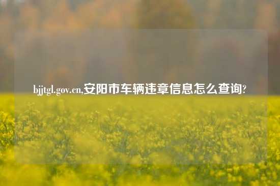 bjjtgl.gov.cn,安阳市车辆违章信息怎么查询?