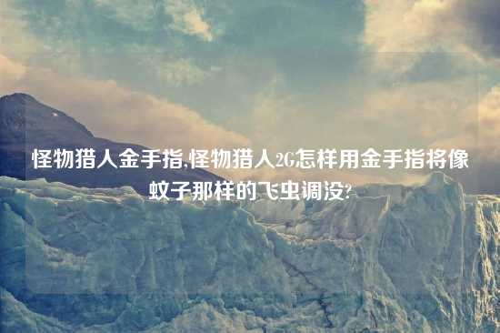 怪物猎人金手指,怪物猎人2G怎样用金手指将像蚊子那样的飞虫调没?
