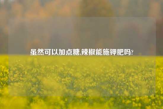 虽然可以加点糖,辣椒能施钾肥吗?
