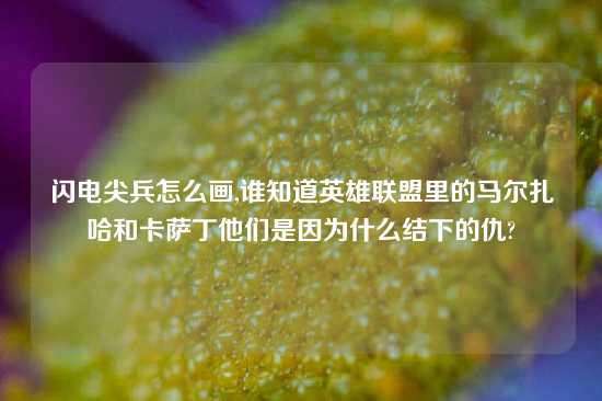 闪电尖兵怎么画,谁知道英雄联盟里的马尔扎哈和卡萨丁他们是因为什么结下的仇?