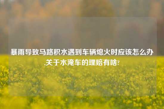 暴雨导致马路积水遇到车辆熄火时应该怎么办,关于水淹车的理赔有啥?