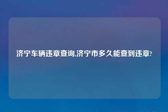 济宁车辆违章查询,济宁市多久能查到违章?