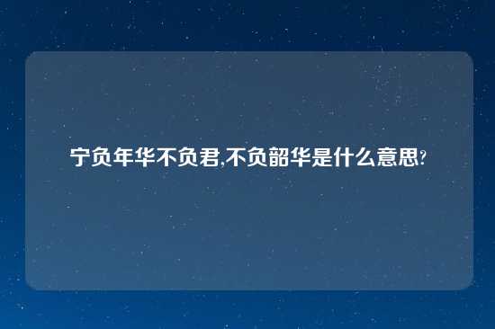 宁负年华不负君,不负韶华是什么意思?