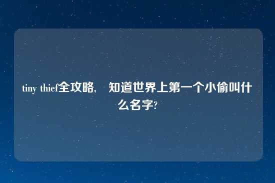 tiny thief全攻略,誰知道世界上第一个小偷叫什么名字?