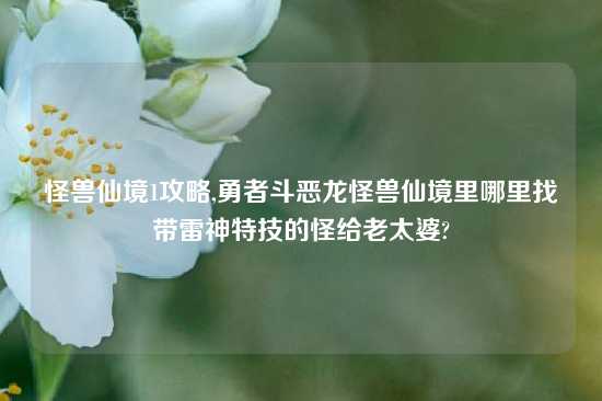 怪兽仙境1攻略,勇者斗恶龙怪兽仙境里哪里找带雷神特技的怪给老太婆?