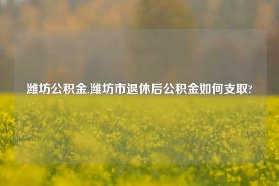 潍坊公积金,潍坊市退休后公积金如何支取?