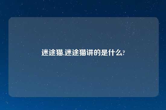 迷途猫,迷途猫讲的是什么?