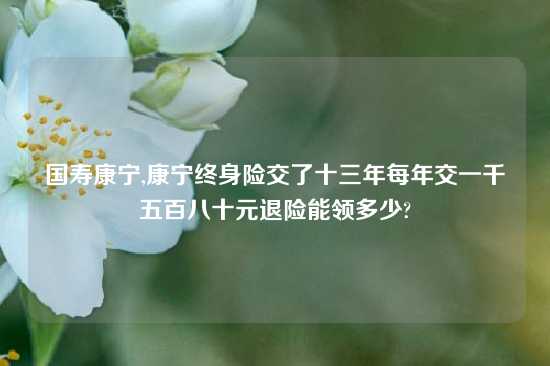 国寿康宁,康宁终身险交了十三年每年交一千五百八十元退险能领多少?