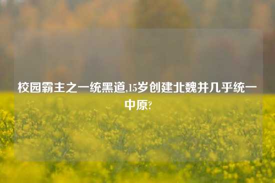 校园霸主之一统黑道,15岁创建北魏并几乎统一中原?