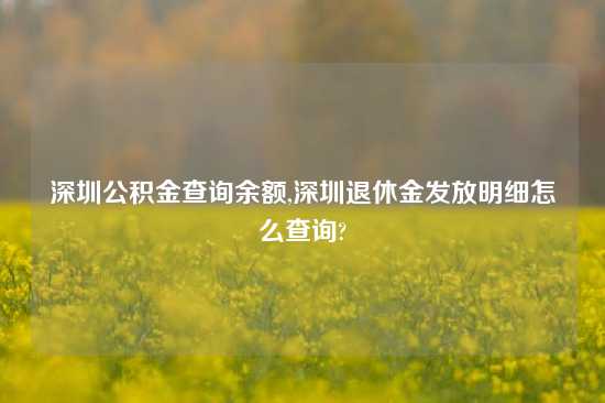 深圳公积金查询余额,深圳退休金发放明细怎么查询?