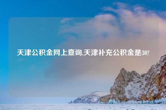 天津公积金网上查询,天津补充公积金是30?