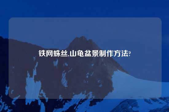 铁网蛛丝,山龟盆景制作方法?