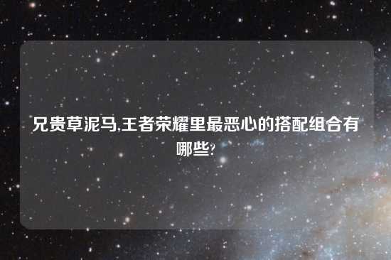 兄贵草泥马,王者荣耀里最恶心的搭配组合有哪些?