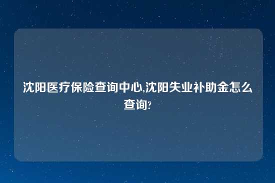 沈阳医疗保险查询中心,沈阳失业补助金怎么查询?