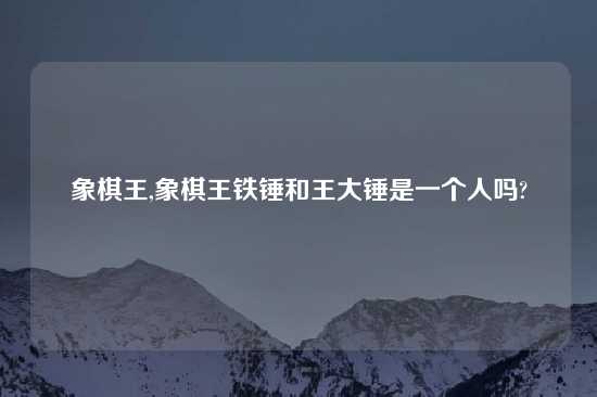 象棋王,象棋王铁锤和王大锤是一个人吗?