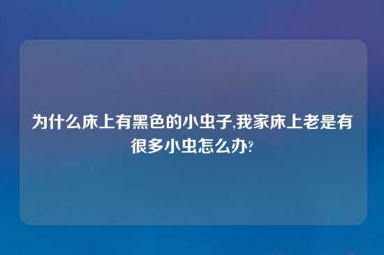 为什么床上有黑色的小虫子,我家床上老是有很多小虫怎么办?