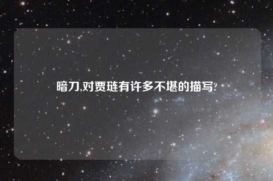 暗刀,对贾琏有许多不堪的描写?