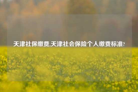 天津社保缴费,天津社会保险个人缴费标准?