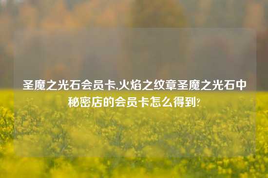 圣魔之光石会员卡,火焰之纹章圣魔之光石中秘密店的会员卡怎么得到?