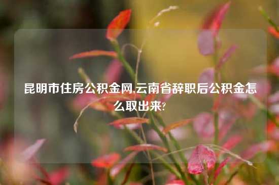 昆明市住房公积金网,云南省辞职后公积金怎么取出来?