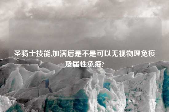 圣骑士技能,加满后是不是可以无视物理免疫及属性免疫?