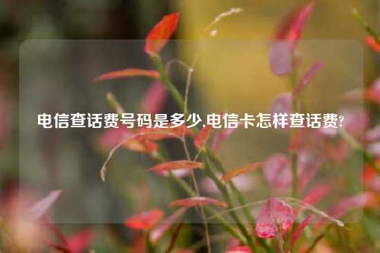 电信查话费号码是多少,电信卡怎样查话费?