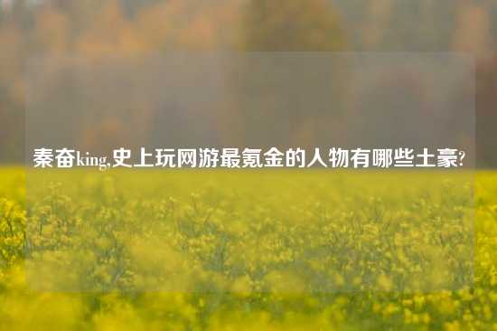 秦奋king,史上玩网游最氪金的人物有哪些土豪?