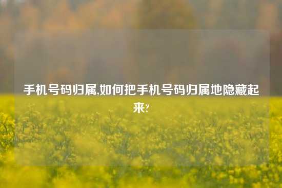 手机号码归属,如何把手机号码归属地隐藏起来?
