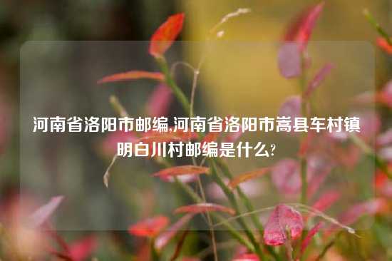 河南省洛阳市邮编,河南省洛阳市嵩县车村镇明白川村邮编是什么?