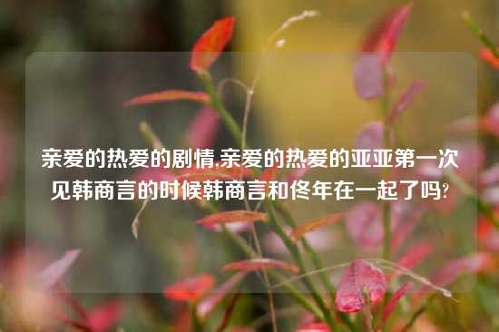 亲爱的热爱的剧情,亲爱的热爱的亚亚第一次见韩商言的时候韩商言和佟年在一起了吗?