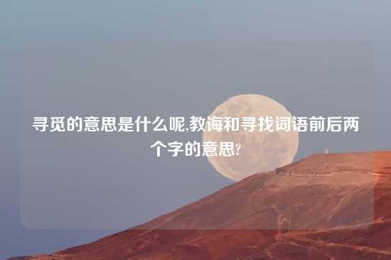 寻觅的意思是什么呢,教诲和寻找词语前后两个字的意思?