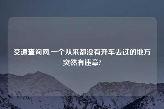 交通查询网,一个从来都没有开车去过的地方突然有违章?