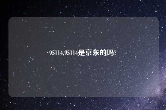 95114,95114是京东的吗?