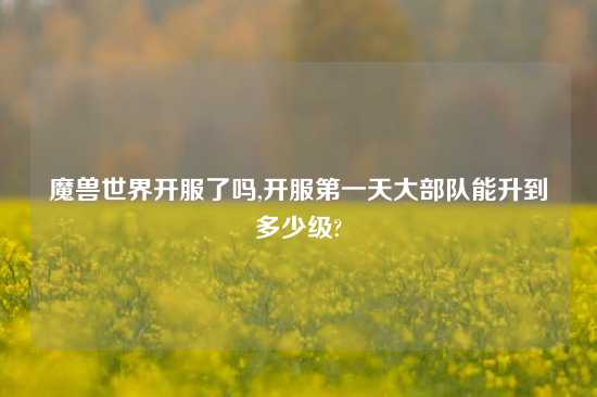 魔兽世界开服了吗,开服第一天大部队能升到多少级?
