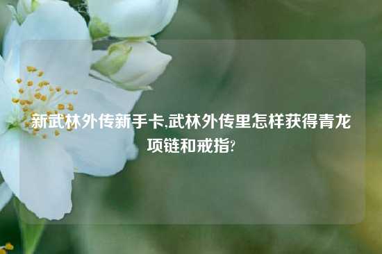 新武林外传新手卡,武林外传里怎样获得青龙项链和戒指?