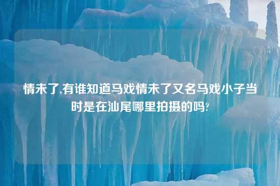 情未了,有谁知道马戏情未了又名马戏小子当时是在汕尾哪里拍摄的吗?