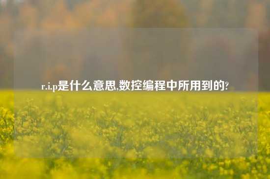 r.i.p是什么意思,数控编程中所用到的?