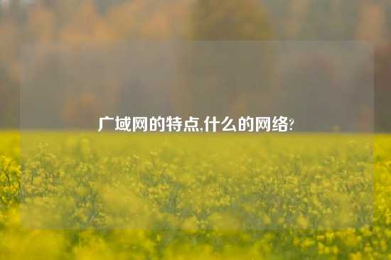 广域网的特点,什么的网络?