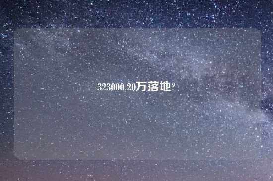 323000,20万落地?