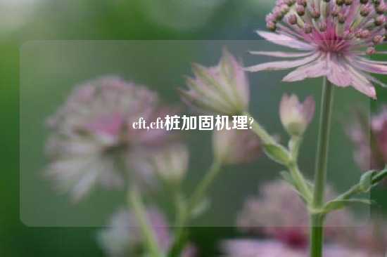 cft,cft桩加固机理?