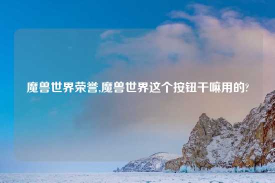 魔兽世界荣誉,魔兽世界这个按钮干嘛用的?