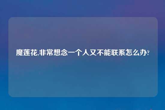 魔莲花,非常想念一个人又不能联系怎么办?